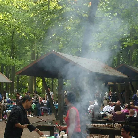 Funk 호텔 비트그하임-비징엔